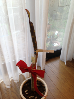 image-20140113094738.png