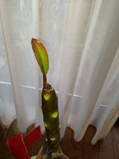 image-20140113094904.png