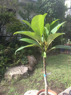 image-20140904082949.png